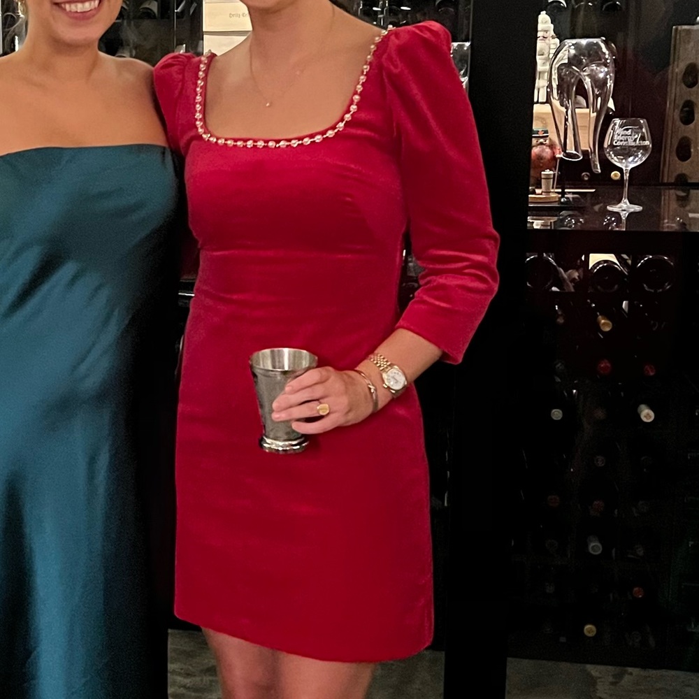 WORN ONCE - Cara Cara Pink Velvet Dress